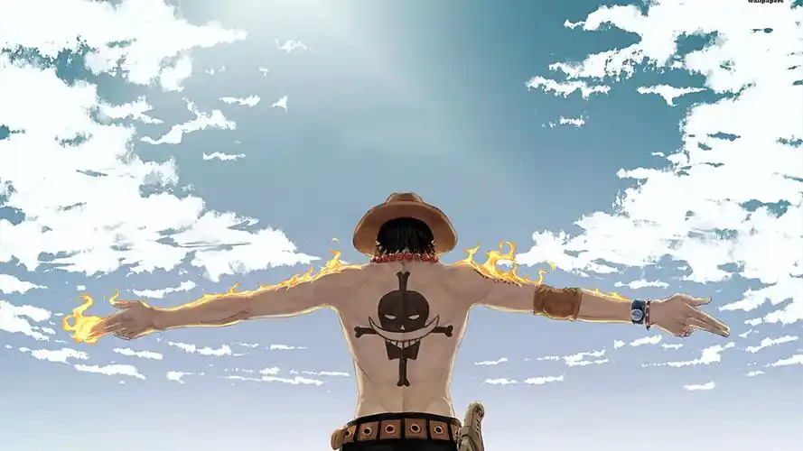 漫画岛 全职猎人